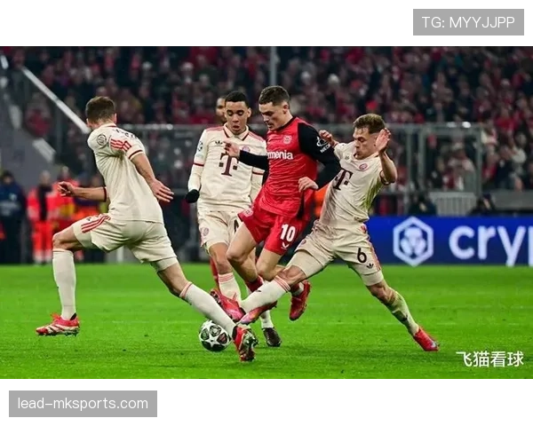 德甲转会窗新援表现亮眼,多队引援成效初显 德甲转会窗新援表现亮眼,多队引援成效初显