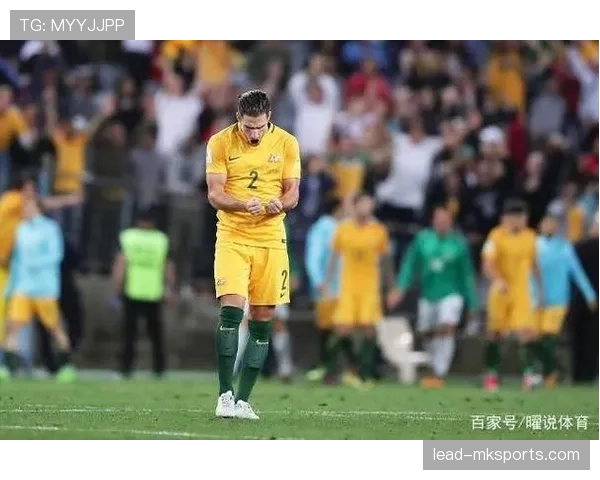 德甲豪门实力分布